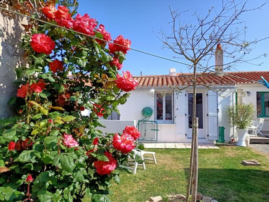 La Maison Du Marin Villa Saint Gilles Croix de vie Buitenkant foto